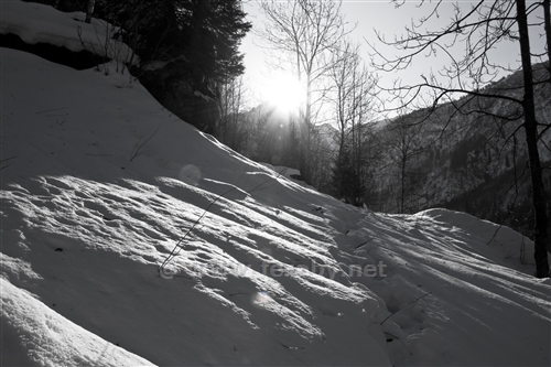 Sentiero per Alpe Campo invernale