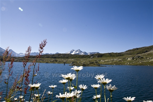 Grimselpass