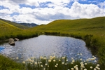 Passo del Piccolo San Bernardo